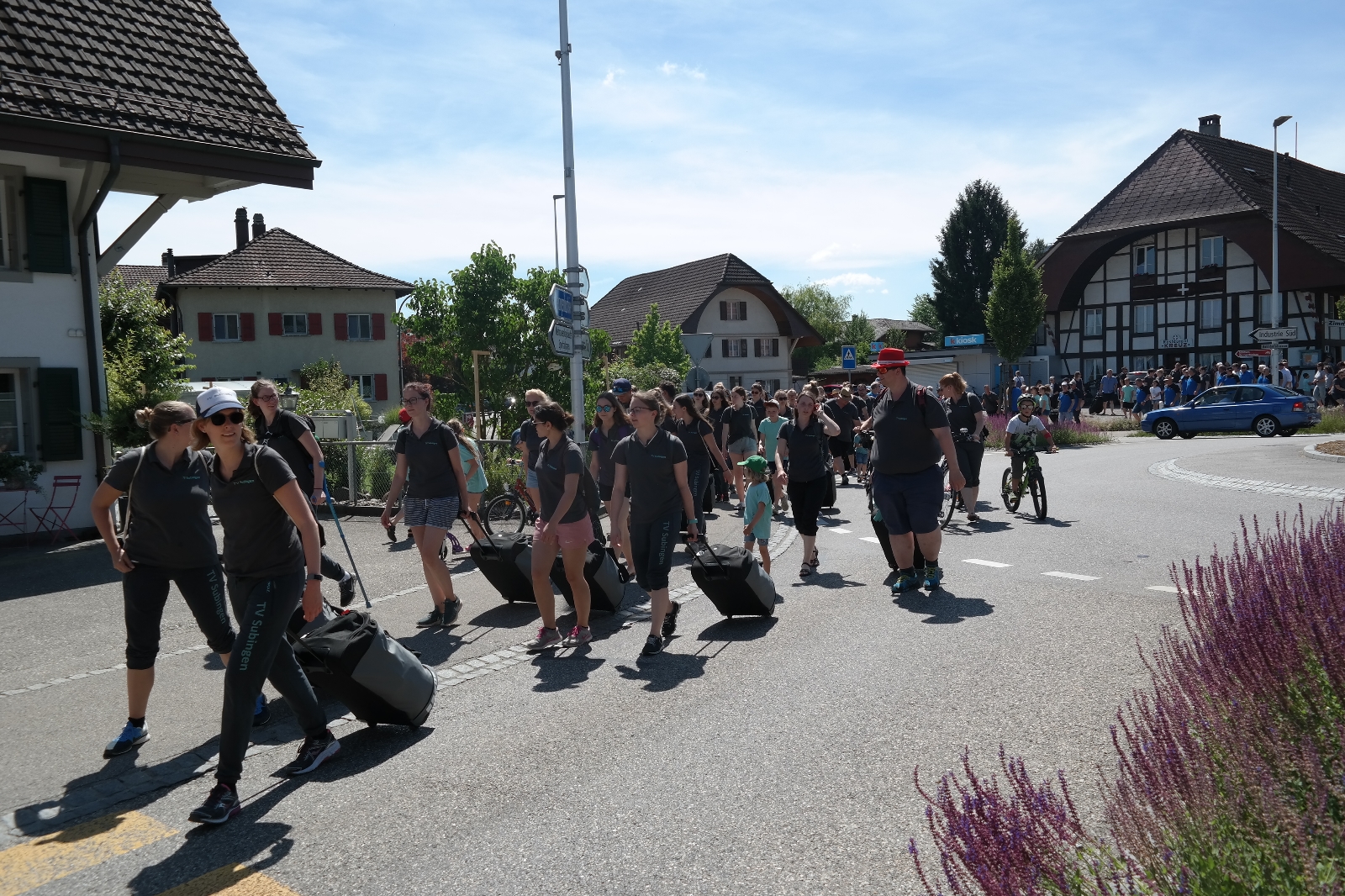 Bild1 (288)